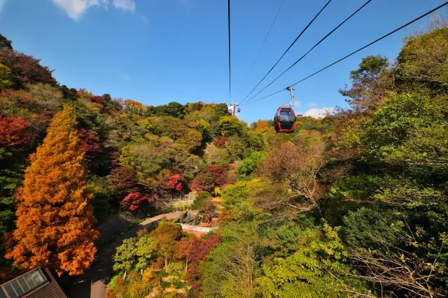 1mj6812000iqgnnt8C6BE.webp
