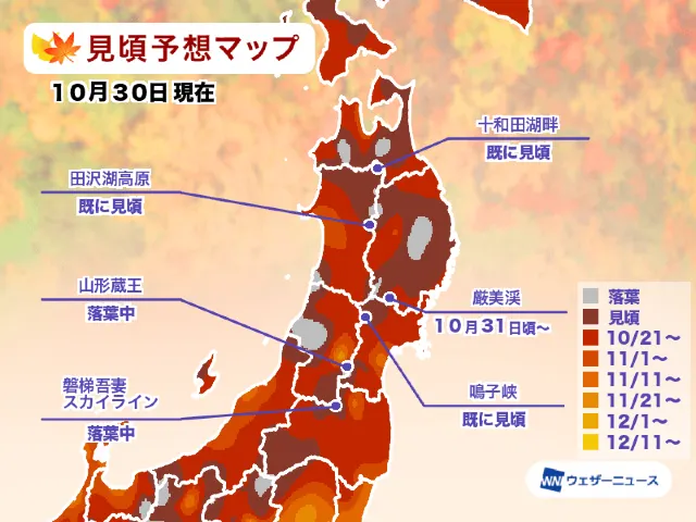 東北地區紅葉