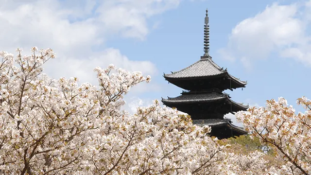 御室(仁和寺)