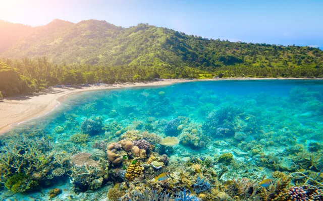 lombok photo
