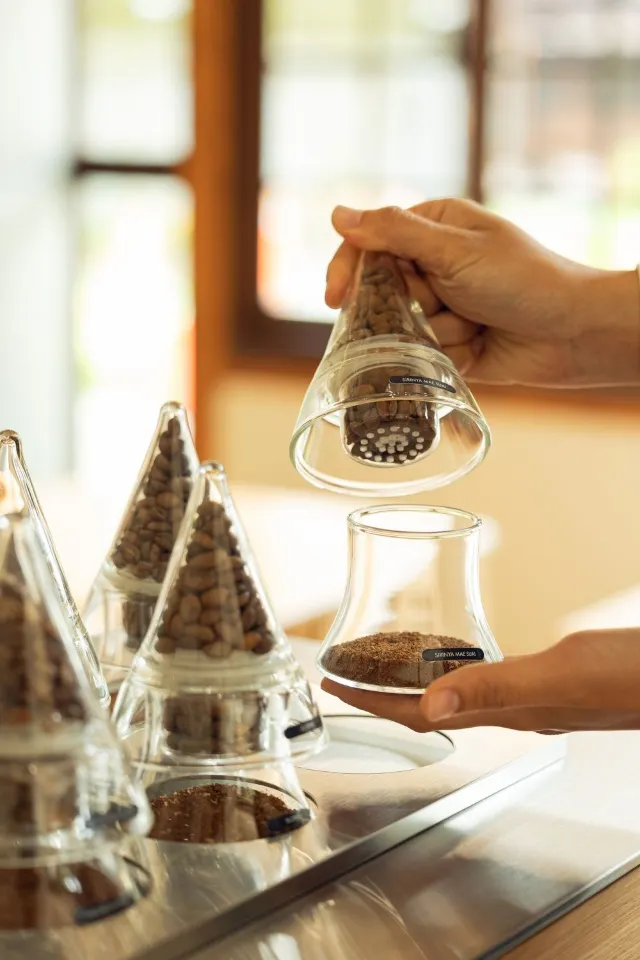 Alchemist Coffe