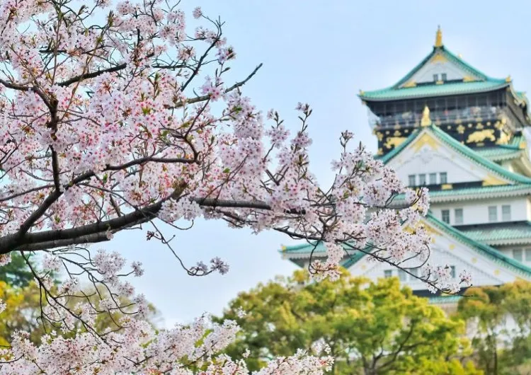 JR關西鐵路周遊券價錢、適用地區及使用攻略2026