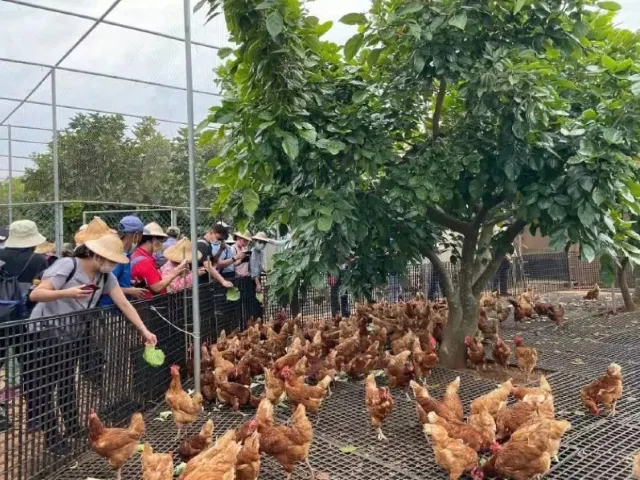 台塑楊梅有機生態農場