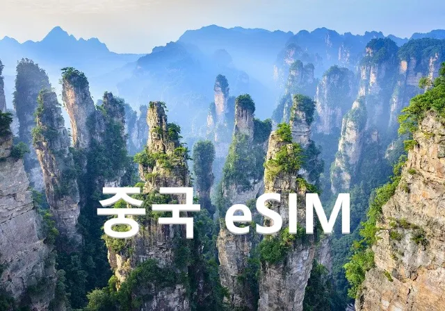 중국eSIM(이심)