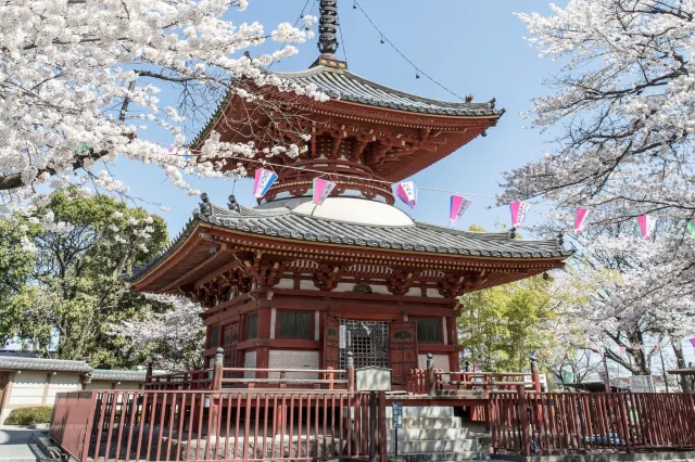 [가와고에 당일치기 여행] 도쿄에서 1시간이면 도착! 근교 소도시 가와고에 가볼만한 곳, 여행 코스, 맛집, 패스 총정리