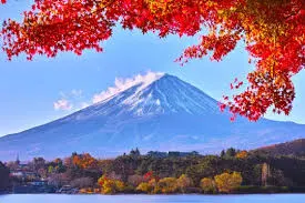 日本賞楓 #2 河口湖