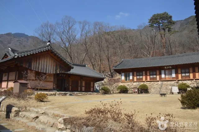양평 가볼만한 곳 용문산