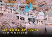 2025 서울 벚꽃 개화시기와 벚꽃명소 추천 BEST 10