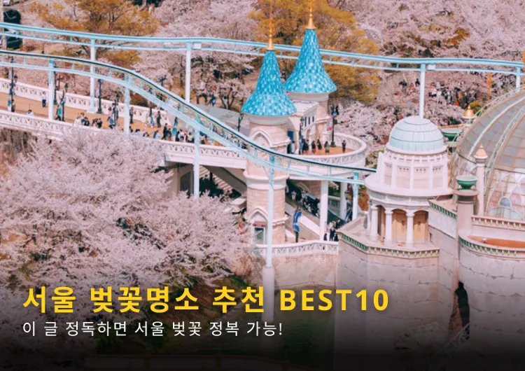 2023 서울 벚꽃 개화시기와 벚꽃명소 추천 BEST 10