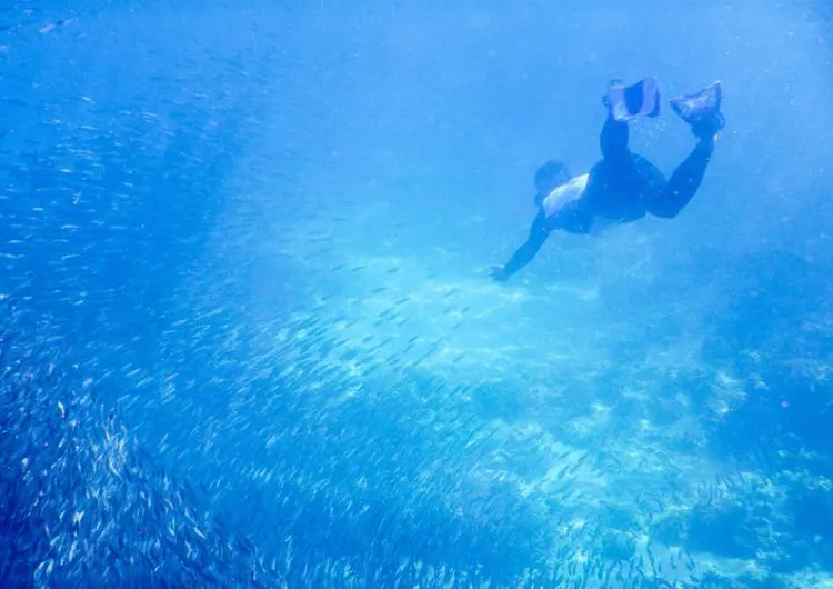 【菲律賓潛水】菲律賓8大人氣潛水勝地