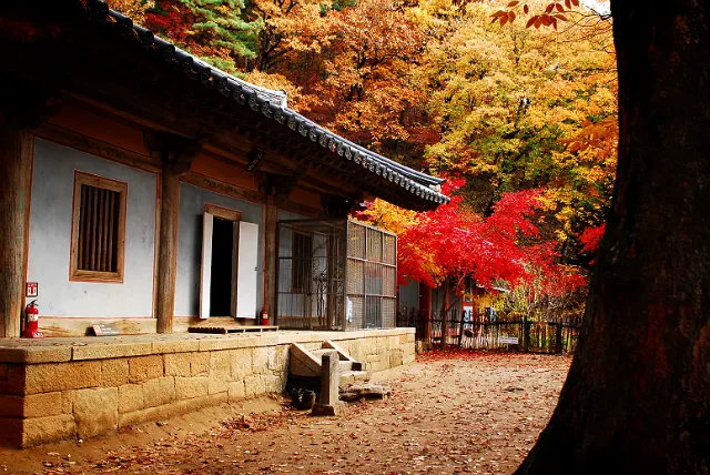 한국 여행지 추천 영주 부석사