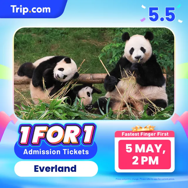 Everland discounts