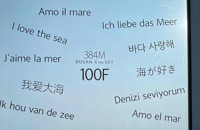 1mj6d12000sjsn6aw2C9A.jpg