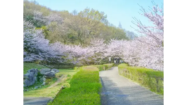 大阪府立近つ飛鳥博物館