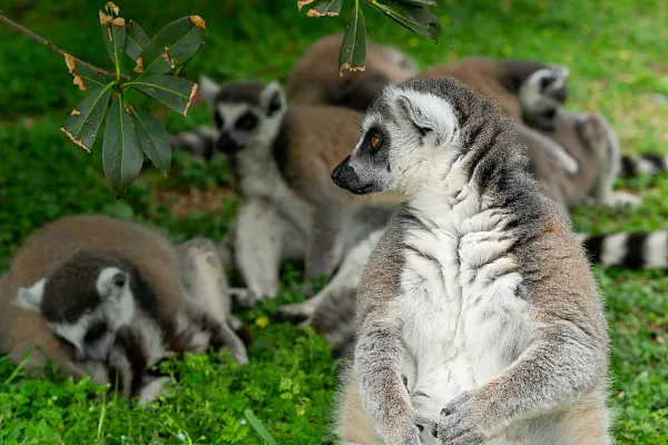杭州野生動物世界