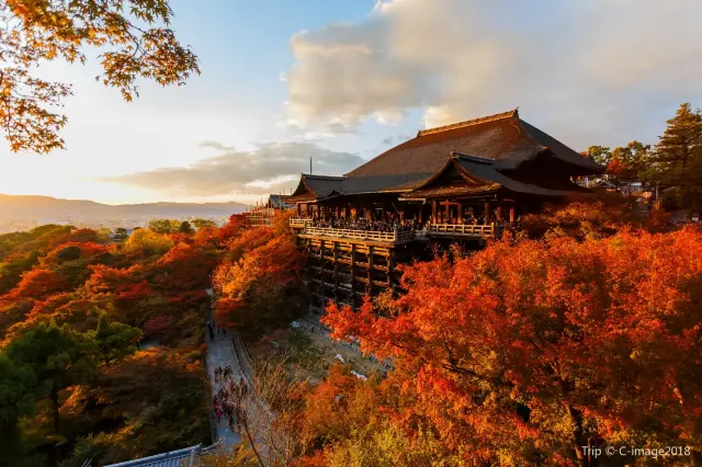 日本賞楓 #4 清水寺