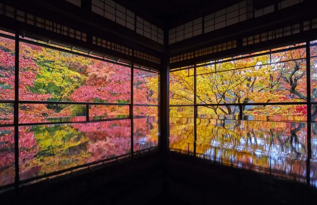京都紅葉景點07琉璃光院（瑠璃光院）