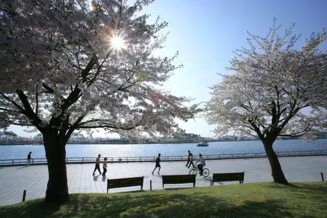 สวนสาธารณะอิลซานโฮซู