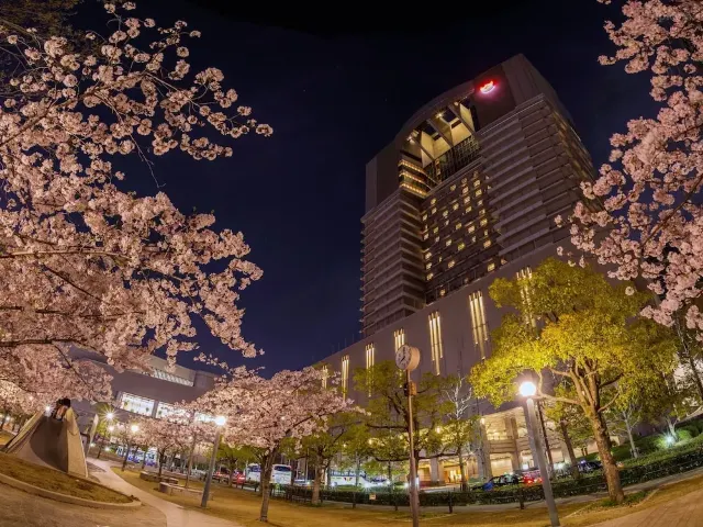 오사카 벚꽃 호텔