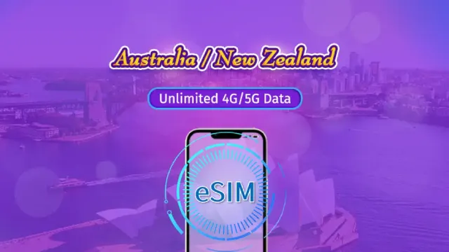 호주이심 뉴질랜드이심