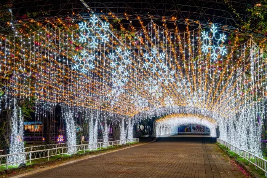 屏東聖誕節燈飾