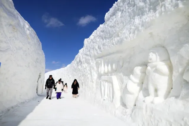 대관령 눈꽃축제