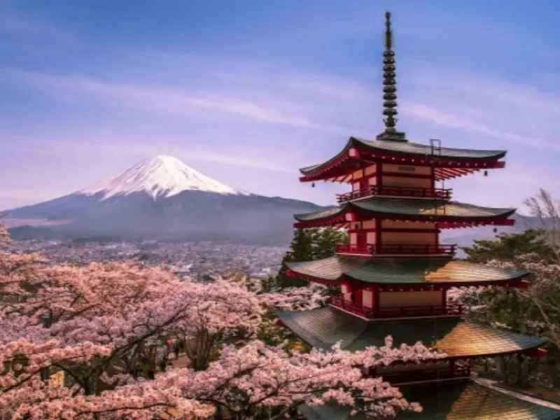 Japan Public Holidays 2024 Calendar Information travel notes and guides –  Trip.com travel guides