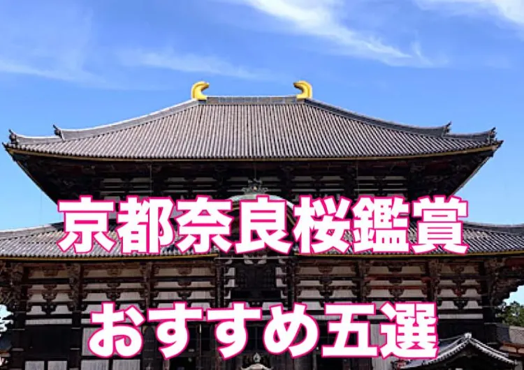 京都奈良桜名所 : さくら名所　京都奈良日帰りでもOK   桜名所５選