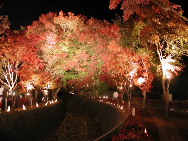 image source:富士河口湖町観光連盟