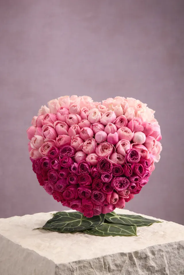 Blooms & Blossoms The Heart's Cadence