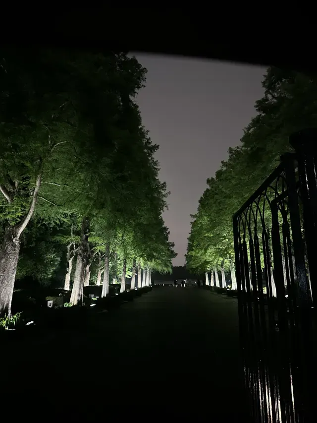 日本紅葉2025