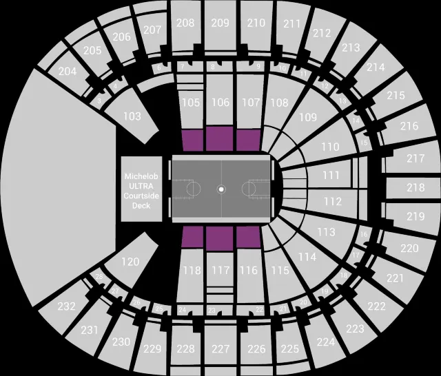 夏季聯賽 2025 Thomas & Mack Center座位圖