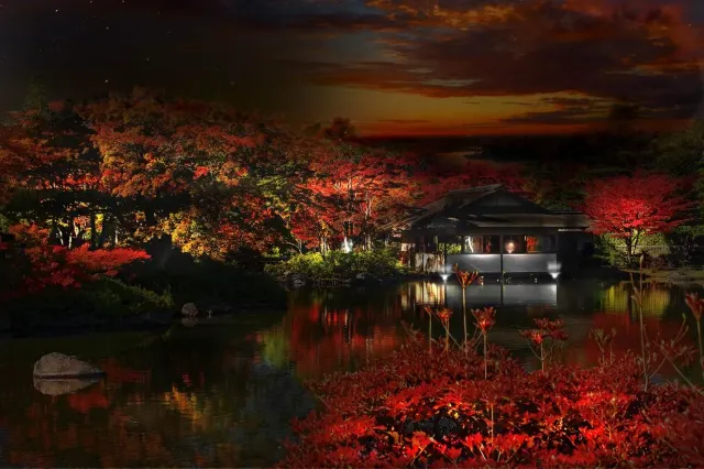 関東紅葉2025