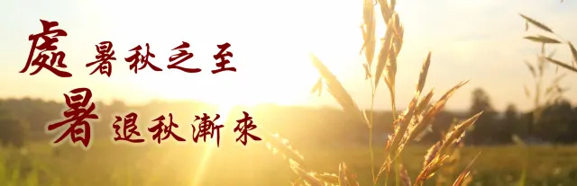 處暑 2025 | 處暑意思