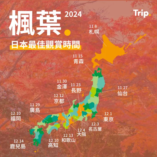 日本賞楓 2024 預測