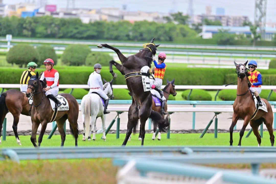 競馬レーシングカレンダー】2025年4月皐月賞、桜花賞から穴馬情報まで