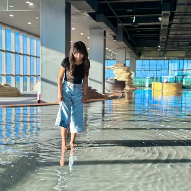 台中海洋館 室內濕地體驗潮汐區