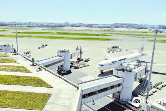 日本旅遊費用 日本機票費用