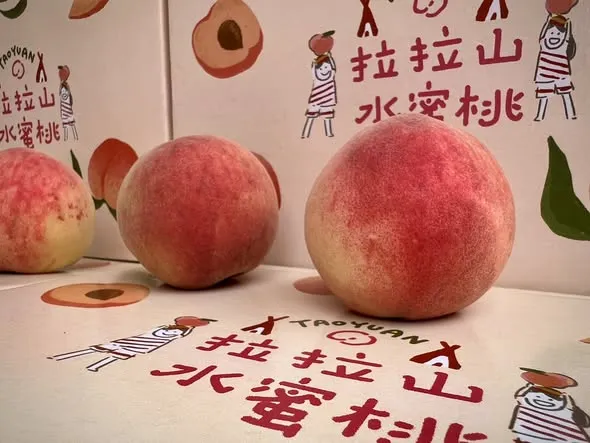 桃園「媽媽樂桃桃-粉紅市集」