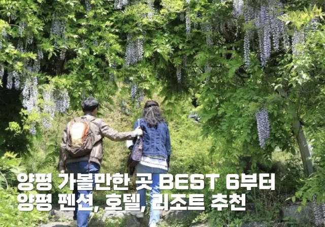 양평 가볼만한 곳 BEST 6