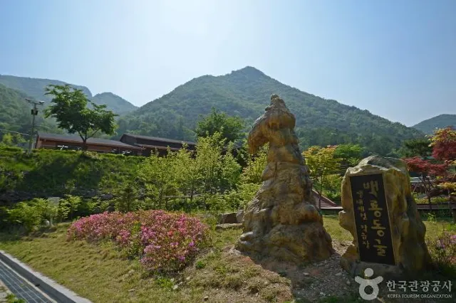 평창 가볼만한 곳 백룡동굴