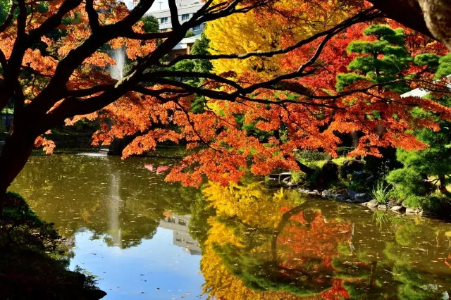関東紅葉2025