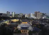 가을밤에 즐기는 덕수궁 야간개장 밤의 석조전