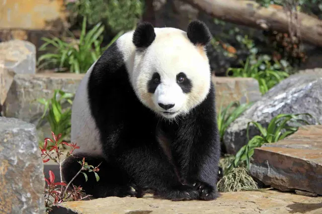 Adelaide Zoo