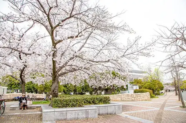 長居公園
