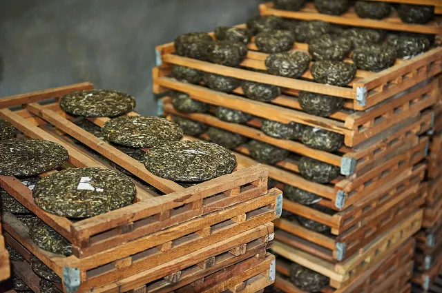 xishuangbanna china jingmai mountain pu'er tea bricks