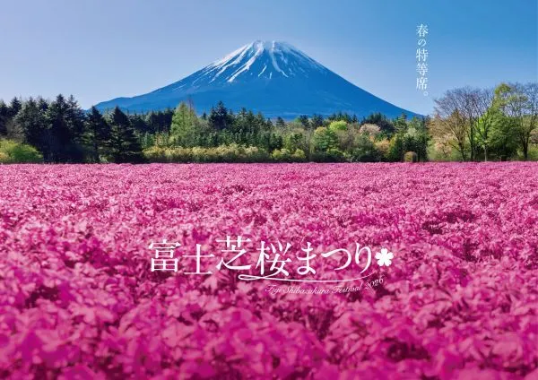 富士芝桜まつり