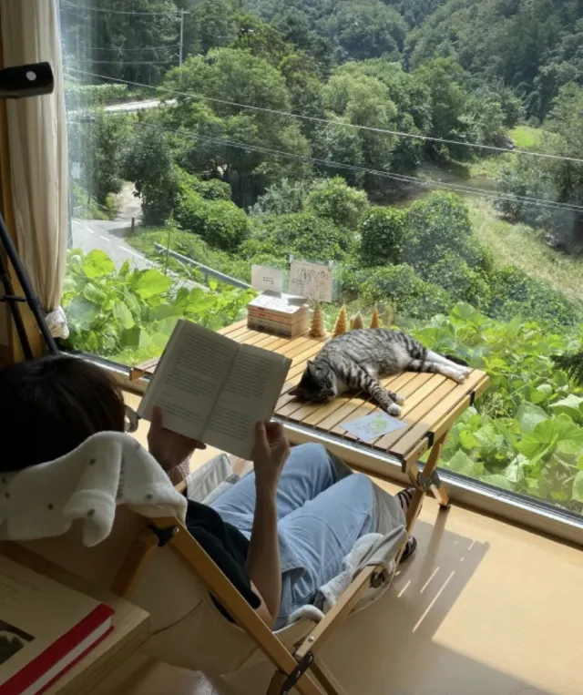 강원도 여행 북스테이