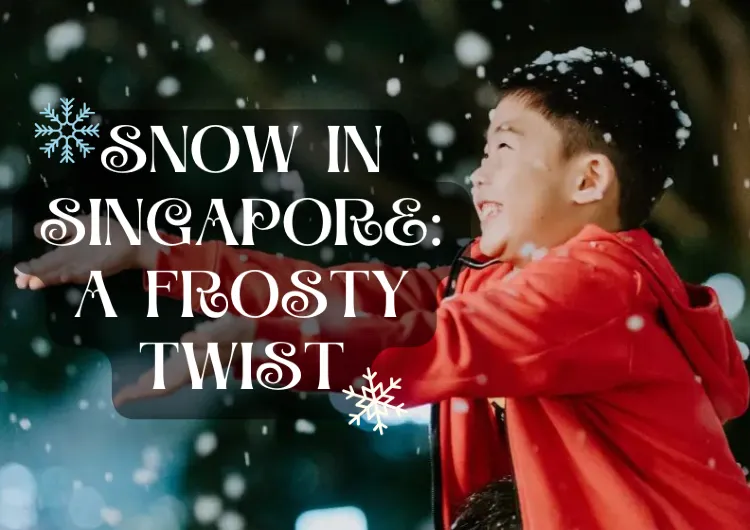 Snow in Singapore: A Frosty Twist