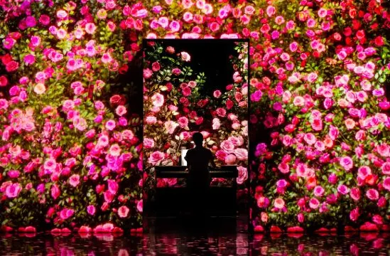 아르떼뮤지엄 여수